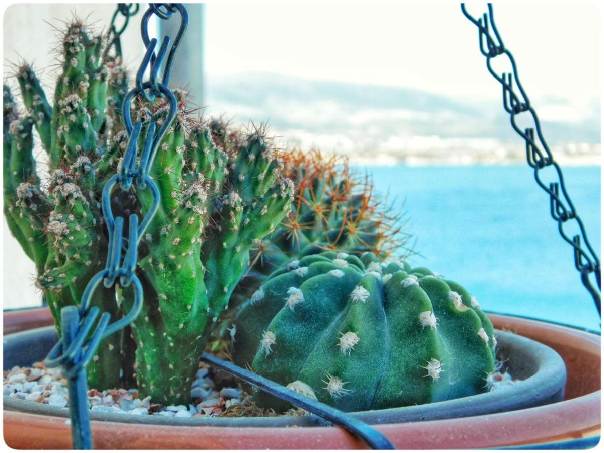 Littlevenice Appartme 50M From Sea Trogir Exteriér fotografie